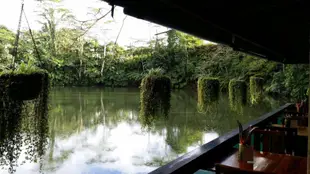 熱帶雨林生態小屋飯店