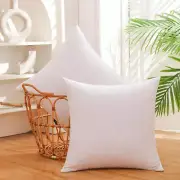 20X20 Inch White Goose down and Feather Throw Pillow Inserts - 2 Packs