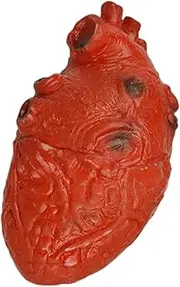 Realistic Heart Prop - Spooky Beating Heart Halloween Props,Haunted House Decorations Prop, Human Heart for Party, Halloween, Home Decoration