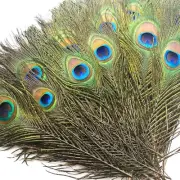 200 pcs Peacock Feathers in Bulk 10-12 inch(25-30 cm) Bulk for DIY Craft,
