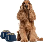 DogCentre 2x 0.6L Dark Blue Spaniel Dog Puppy Bowls Non Slip Pet Food Water Dishes Set