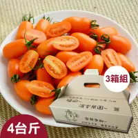 在飛比找台灣好農優惠-【福田農園】橙蜜香小番茄 4台斤 3箱組_團購優惠