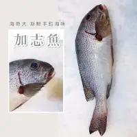 在飛比找蝦皮購物優惠-產地澎湖🛳 🎣 加志魚🐟真空包裝 方便料理