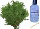 CHRISTMAS CEDAR - Reed Diffuser Refill
