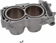Moose Racing Engine Cylinder for 2013-2015 Polaris Ranger 900 XP UTV