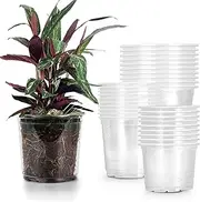 RAOOKIF 30 Pack 5/6/7 Inch Reinforced Nursery Pots with Drainage Holes, Transparent Plastic Plant Pots for Seedlings, Clear Seed Starters