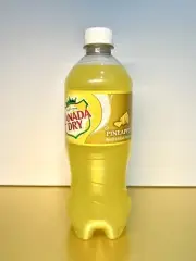 〽️ New Rare Limited Edition Canada Dry PINEAPPLE Flavored Soda Bottle 20 Fl Oz