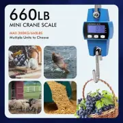 Weighing 300 kg / 600 lb Industrial Crane Scale Digital Hanging Scale with Hooks