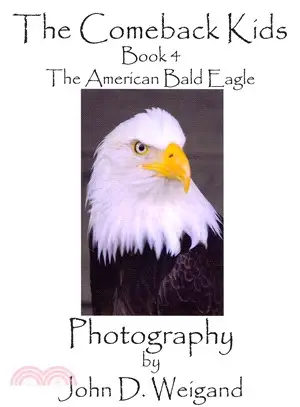 The American Bald Eagle