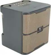 Machine with 2 Wireless Microphones, Portable Speaker PA System, Supports TF USB