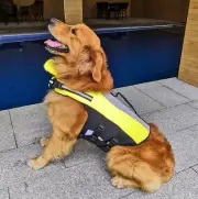 Adjustable Dog Floatation Life Jacket Vest Swimming Preserver with Rescue Handle