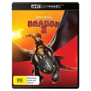 How To Train Your Dragon 2