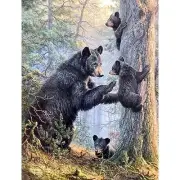 Diamond Painting Kits for Adults Bear Family 5D Diamond Art Kits for Adults,