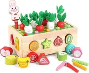 Toddlers Montessori Toys for 1 2 3 4 Year Old, Multifunctional Orchard Toy Car Wooden Educational Toys Boys and Girls, Shape Sorting Toys Preschool Learning Fine Motor Skills Game Kids Gifts