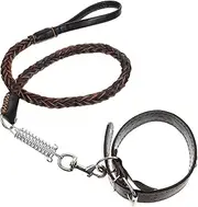 Mipcase 1 Set Dog Leash Cat Walking Leash Dog Walking Belt Dog Collar Leash Medium Collar Braided Puppy Leash Long Dog Leads Pet Walking Leash Harness Spring Bungee Cord Skin