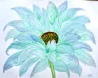 PAINTING WATERCOLOR ORIGINAL FLOWER DAISY GERBERA BLUE PURPLE 11X14 MAT 16X20