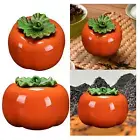 Ceramic Tea Jar Coffee Container Food Storage Jar for Table Decoration Home