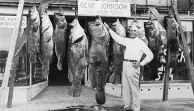 Goliath Grouper Jewfish In The United States 1920 Old Fishing Photo