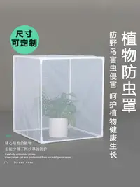 在飛比找樂天市場購物網優惠-植物防凍罩 植物保護罩 植物防蟲網罩防鳥紗網罩植物保護罩多肉