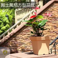 在飛比找momo購物網優惠-【Gardeners】陶土風格方型花盆20cm附底盤(花盆/
