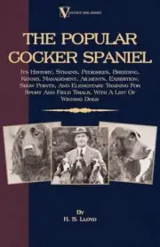 Lloyd - Popular Cocker Spaniel - Its History Strains Pedigrees Bree - S555z