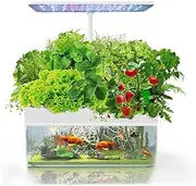 Hydroponics Growing System,Indoor Herb Garden Kit, 12 Pods Hydroponics Growing System, LED Grow Light,for Indoor Herbs, Fruits and Vegetables
