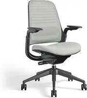 Steelcase Series 1 Series 1 Office Chair Gaming Chair Back: Nickel 3D Microknit Seat: Nickel 5S25 Frame: Black, Adjustable Lumbar, 3D Arms, Seat-Depth Adjustment.