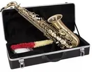 DIMAVERY SP-30 Eb Alto Saxophone Vintage