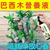 在飛比找蝦皮購物優惠-【台灣出貨】巴西木專用營養液 巴西木催芽劑 幸運木水耕促爆芽