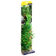 Aqua One Ecoscape Poly Hygro Planter - X Large / Green