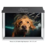 Golden Labrador Retriever Polyester Fish Tank Glass Backdrop Aquarium Background