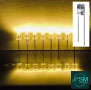 100PCS 3mm WARM WHITE LED Light Emitting Diode Clear Flat Top Edgeless Long Legs