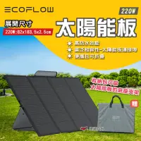 在飛比找momo購物網優惠-【ECOFLOW】220W 太陽能板 充電板 應急電源 可摺