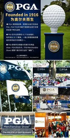 美國PGA 新款高爾夫襪子女高筒高爾夫女襪顯瘦顯高純棉長筒襪