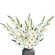 Pack of 10 - Artificial Gladiolus Silk Orchids Flower Stems Fake White