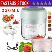 250ML Electric Garlic Press Chopper Onion Fruits Meat Mincer Blender Mixer White