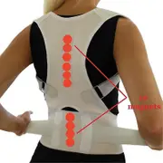 Adjustable Orthopedic Right Back Support Belt 10 Pcs Magnets Medical Corsets Magnetic Therapy Posture Correction Braces Kids-black XXL