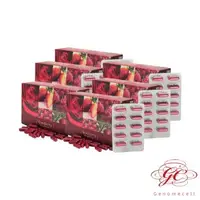 在飛比找森森購物網優惠-【肌容雪】洛神莓果多酚(30顆/盒)x6入(女性私密處保建的