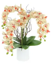 Creative Displays Modern Beige Orchid Arrangement In Round Fiberstone Pot