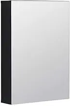 Mirror Cabinets Bathroom Mirror with Shelf Aluminum Bathroom Anti-Fog Wall-Mounted Dressing Box Kitchen Debris Rack (Color : B, Size : 48 * 68 * 12CM)