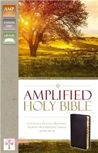 在飛比找三民網路書店優惠-Holy Bible ― Amplified Holy Bi