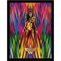 在飛比找蝦皮商城優惠-【DC】神力女超人1984 Wonder Woman 198