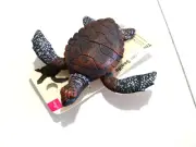 Figures (sea creatures), sea turtles, Daiso, PVC real figures, The Hyper Sealife