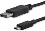 4K 60Hz USB-C to DisplayPort Cable 3.3 ft for High-Quality Video Connection