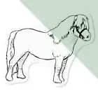 'Pony' Clear Decal Stickers (DC022231)
