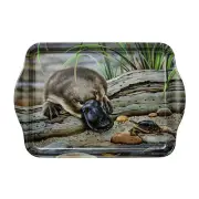 Australian Souvenir Ashdene Melamine Scatter Tray Fauna Platypus & Turtle