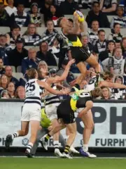 AFL football mark of the year poster, Richmond tigers,swans,cats,dogs,pies book