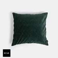 在飛比找momo購物網優惠-【HOLA】素色仿絲絨壓摺抱枕50X50CM-琉璃綠