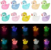 Tindobewan 50 PCS Tiny Ducks Glow in The Dark Mini Resin Ducks Miniature Duck Figures Ornament for Craft, Dollhouse, Slime,Landscape, Home Decorations(Luminous Tiny Ducks 10 Colors)