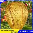 Wasp Nest Decoy Wasp Fake Trap 28x22cm Wasp Nest Removal Tool for Outdoor Garden